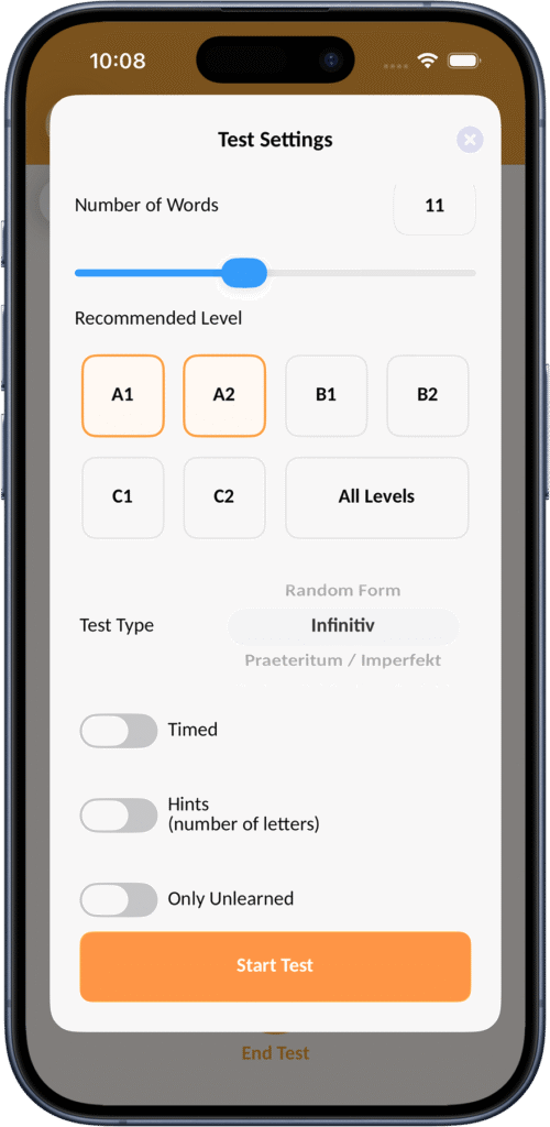 Test setup screen for German verbs practice